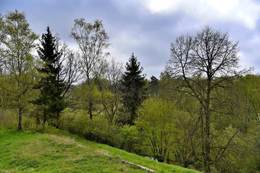 Holiday Home Turovec Tabor Luaran gambar